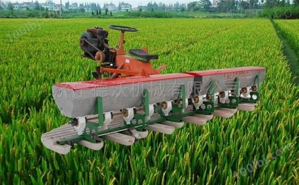 江苏盐城地区水稻播种新技术精量播种机厂家