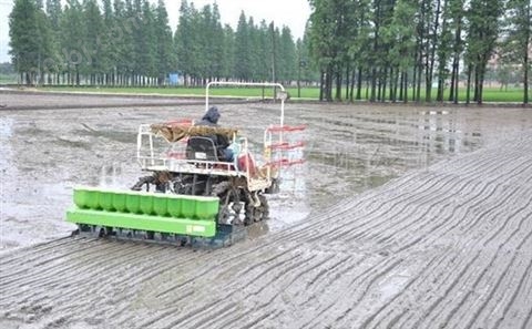 伊春水稻旱直播机哪里生产