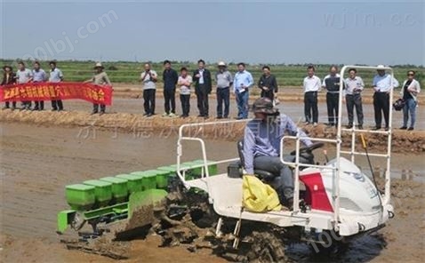 无锡德沃牌水稻电动播种机价格穴播机产地